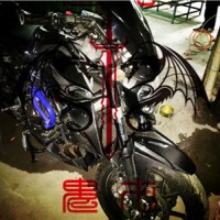 碳纖維汽車配件、摩托車配件、航空及運動用品